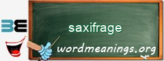 WordMeaning blackboard for saxifrage